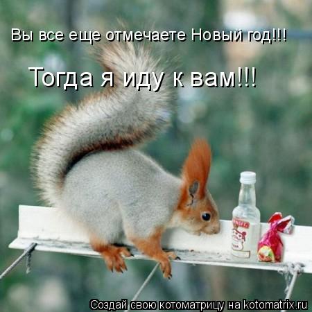 Вы все еще отмечаете Новый год!!! Тогда я иду к вам!!!... Котоматрица: Вы все еще отмечаете Новый год!!! Тогда я иду к вам!!!