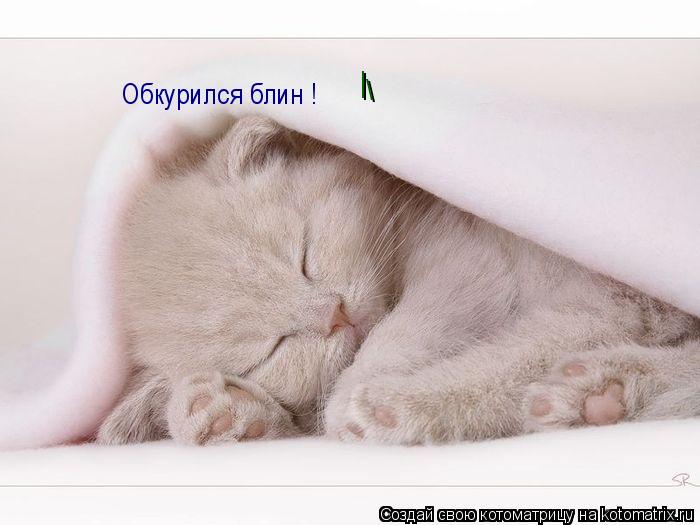 Обкурился блин ! |... Котоматрица: Обкурился блин ! |