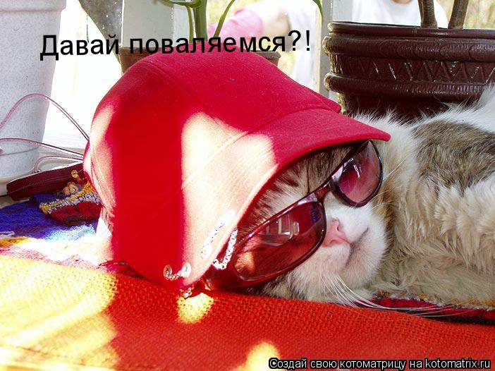 Давай поваляемся?!... Котоматрица: Давай поваляемся?!