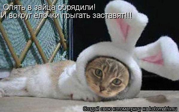 Опять в зайца обрядили! И вокруг ёлочки прыгать заставят!!!... Котоматрица: Опять в зайца обрядили! И вокруг ёлочки прыгать заставят!!!