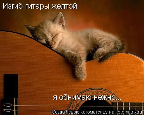 Изгиб гитары желтой я обнимаю нежно...... Котоматрица: Изгиб гитары желтой я обнимаю нежно...