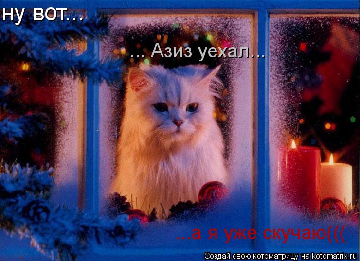 Котоматрица: ну вот...  ...а я уже скучаю((( ... Азиз уехал...