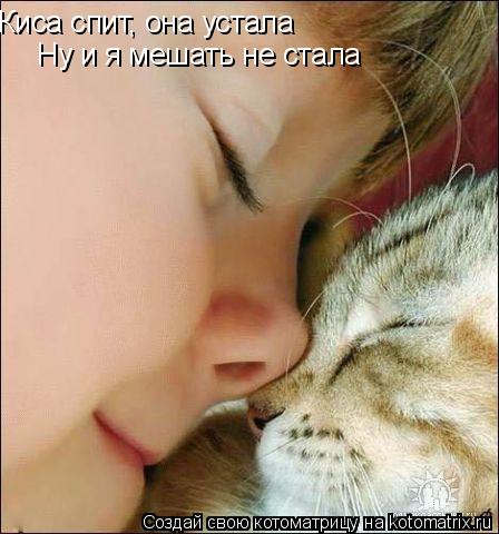 Киса спит, она устала Ну и я мешать не стала... Котоматрица: Киса спит, она устала Ну и я мешать не стала