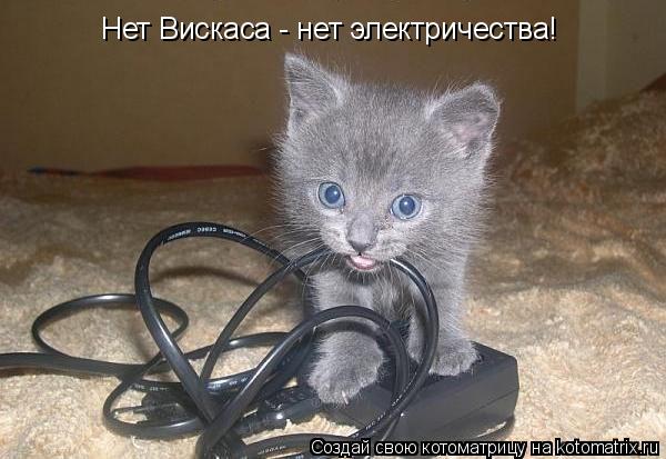 Нет Вискаса - нет электричества!... Котоматрица: Нет Вискаса - нет электричества!