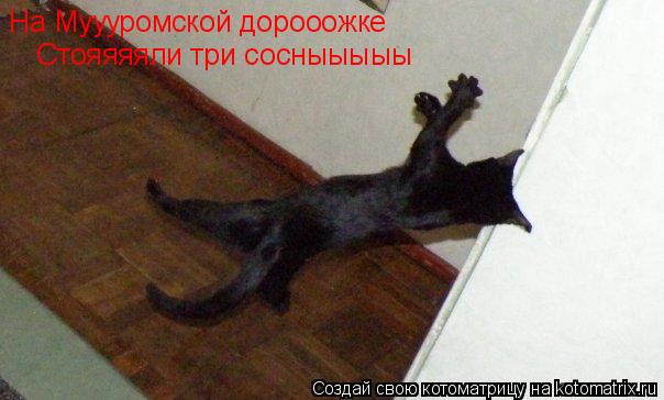 Котоматрица: На Муууромской дорооожке Стояяяяли три сосныыыыы