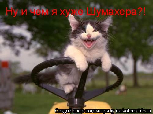 Ну и чем я хуже Шумахера?!... Котоматрица: Ну и чем я хуже Шумахера?!