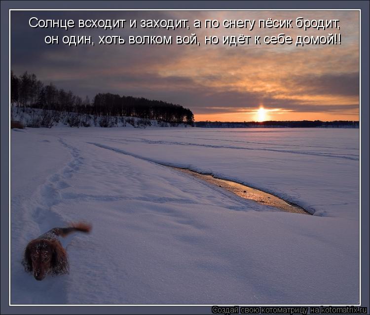 Солнце всходит и заходит, а по снегу пёсик бродит, он один, хоть волком вой, но идёт к себе домой!!... Котоматрица: Солнце всходит и заходит, а по снегу пёсик бродит, он один, хоть волком вой, но идёт к себе домой!!