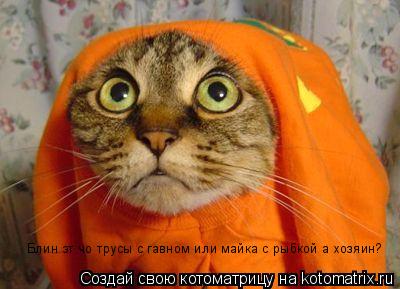 Котоматрица: Блин эт чо трусы с гавном или майка с рыбкой а хозяин?