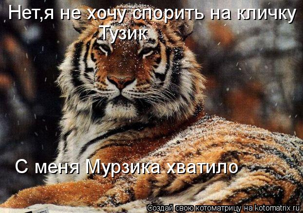 Нет,я не хочу спорить на кличку Тузик С меня Мурзика хватило... Котоматрица: Нет,я не хочу спорить на кличку Тузик С меня Мурзика хватило