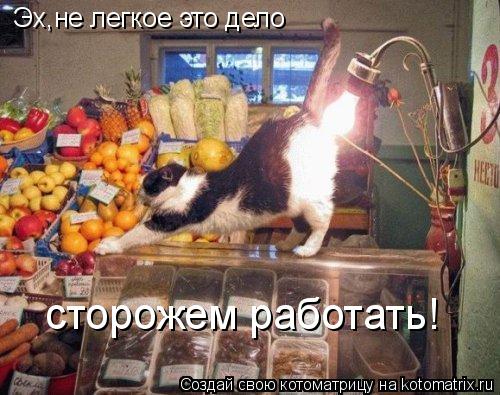 Эх,не легкое это дело сторожем работать!... Котоматрица: Эх,не легкое это дело сторожем работать!