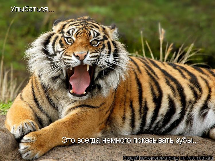 Улыбаться... Это всегда немного показывать зубы...... Котоматрица: Улыбаться... Это всегда немного показывать зубы...