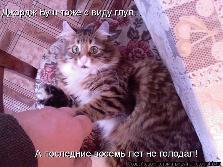 Джордж Буш тоже с виду глуп... А последние восемь лет не голодал!... Котоматрица: Джордж Буш тоже с виду глуп... А последние восемь лет не голодал!
