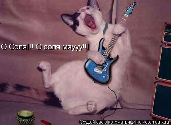 Котоматрица: О Соля!!! О соля мяууу!!!