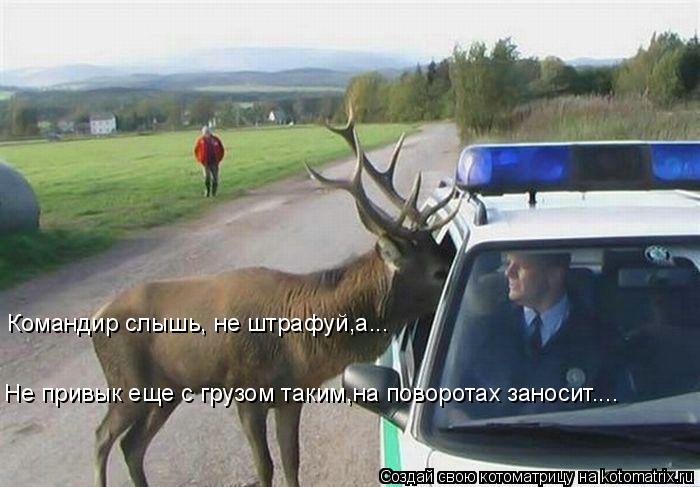 Не привык еще с грузом таким,на поворотах заносит.... Командир слышь, не штрафуй,а...... Котоматрица: Не привык еще с грузом таким,на поворотах заносит.... Командир слышь, не штрафуй,а...