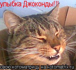Котоматрица: улыбка Джоконды!!!