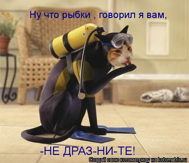 Котоматрица: Ну что рыбки , говорил я вам, -НЕ ДРАЗ-НИ-ТЕ!