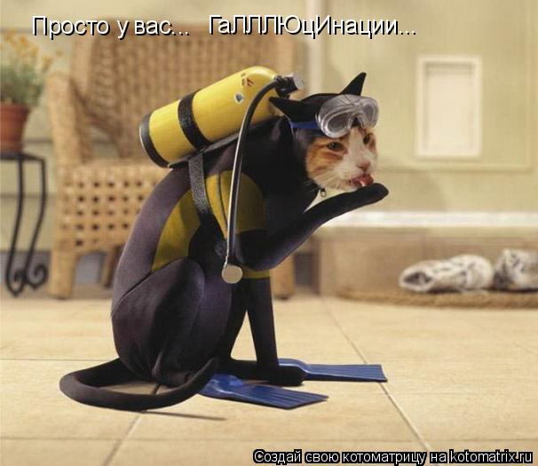 Котоматрица: Просто у вас...  ГаЛЛЛЮцИнации...