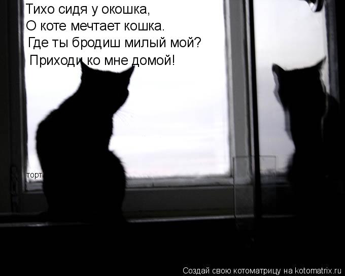 Тихо сидя у окошка, О коте мечтает кошка. Где ты бродиш милый мой? Приходи ко мне домой! торт... Котоматрица: Тихо сидя у окошка, О коте мечтает кошка. Где ты бродиш милый мой? Приходи ко мне домой! торт