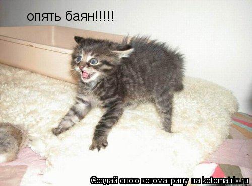 опять баян!!!!!... Котоматрица: опять баян!!!!!