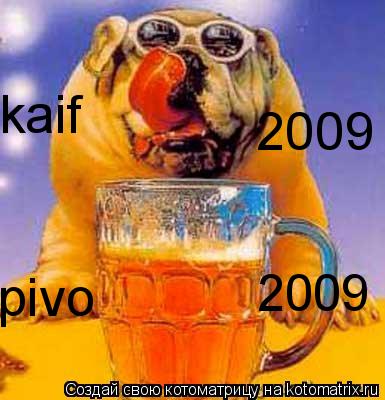 kaif ... Котоматрица: kaif 2009