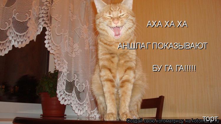 АХА ХА ХА АНШЛАГ ПОКАЗЫВАЮТ БУ ГА ГА!!!!! торт... Котоматрица: АХА ХА ХА АНШЛАГ ПОКАЗЫВАЮТ БУ ГА ГА!!!!! торт