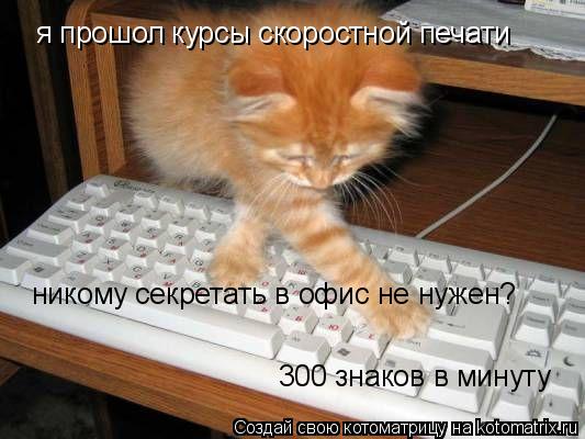 я прошол курсы скоростной печати никому секретать в офис не нужен? 300 знаков в минуту... Котоматрица: я прошол курсы скоростной печати никому секретать в офис не нужен? 300 знаков в минуту