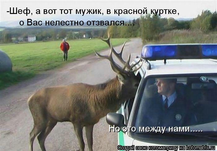 -Шеф, а вот тот мужик, в красной куртке, о Вас нелестно отзвался.... Но это между нами........ Котоматрица: -Шеф, а вот тот мужик, в красной куртке, о Вас нелестно отзвался.... Но это между нами.....