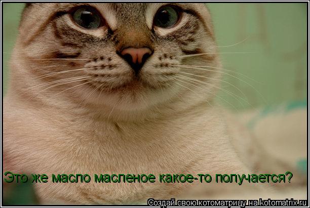 Это же масло масленое какое-то получается?... Котоматрица: Это же масло масленое какое-то получается?