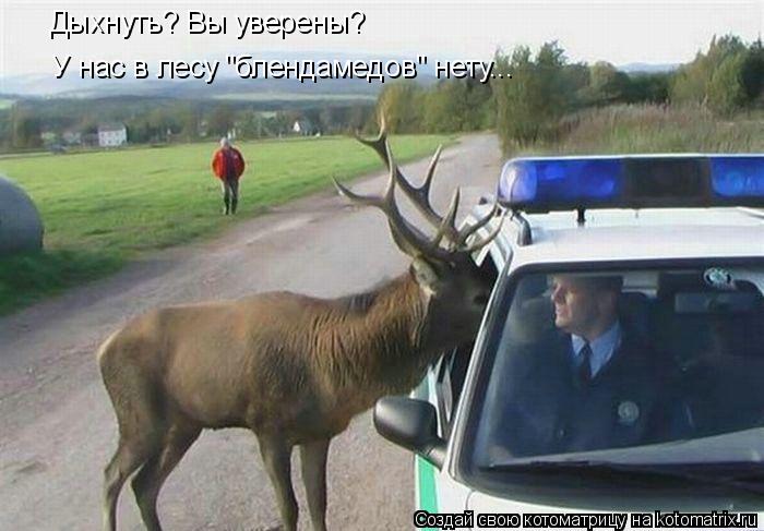 Дыхнуть? Вы уверены? У нас в лесу "блендамедов" нету...... Котоматрица: Дыхнуть? Вы уверены? У нас в лесу "блендамедов" нету...