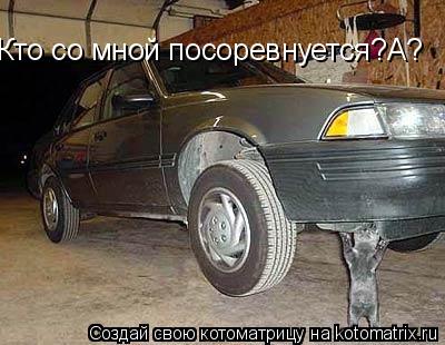 Кто со мной посоревнуется?А?... Котоматрица: Кто со мной посоревнуется?А?
