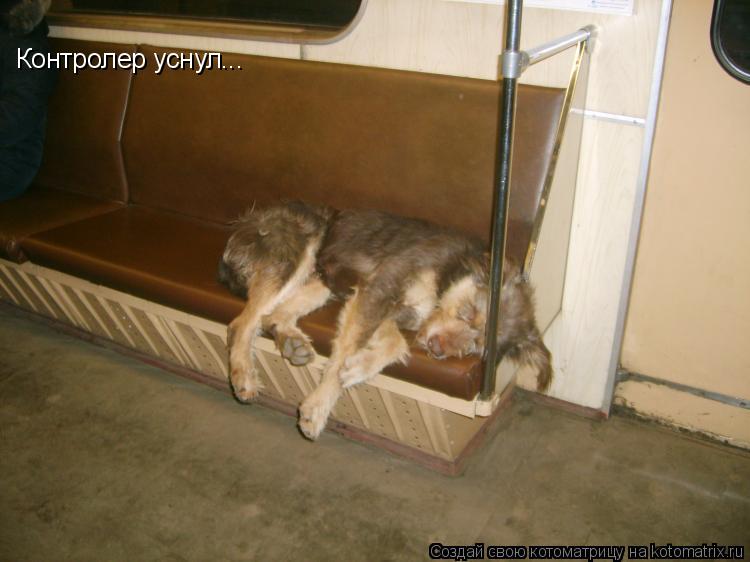 Контролер уснул...... Котоматрица: Контролер уснул...