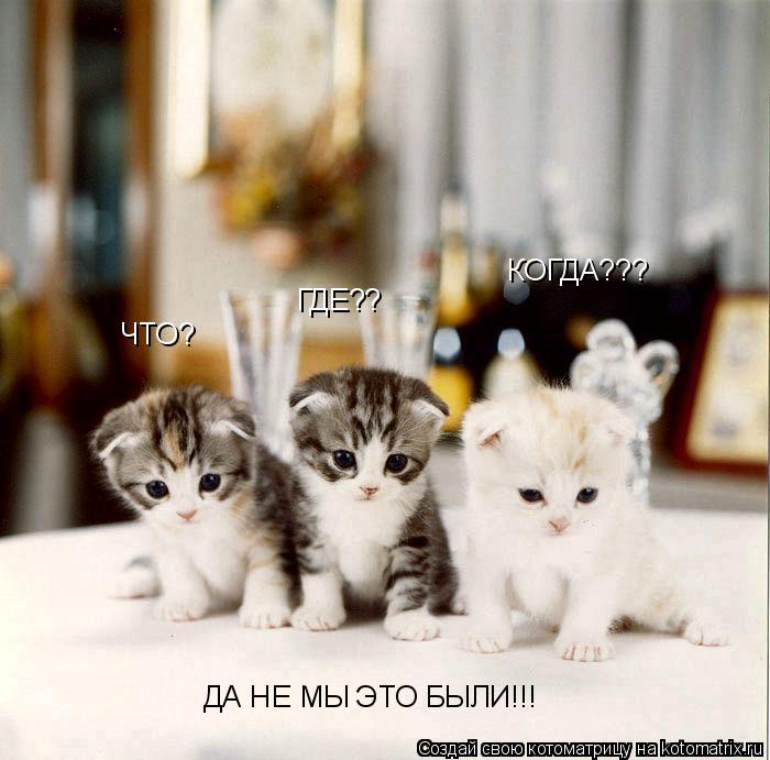 ЧТО? ГДЕ?? КОГДА??? ДА НЕ МЫ ЭТО БЫЛИ!!!... Котоматрица: ЧТО? ГДЕ?? КОГДА??? ДА НЕ МЫ ЭТО БЫЛИ!!!