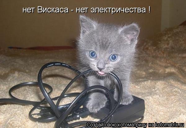 Котоматрица: нет Вискаса - нет электричества !