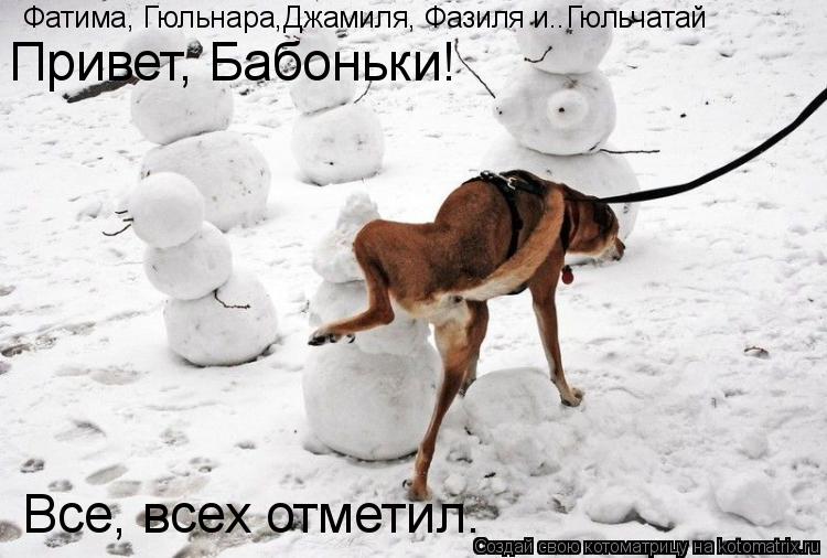 Фатима, Гюльнара,Джамиля, Фазиля и..Гюльчатай Привет, Бабоньки! Все, всех отметил.... Котоматрица: Фатима, Гюльнара,Джамиля, Фазиля и..Гюльчатай Привет, Бабоньки! Все, всех отметил.