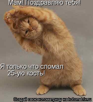 Мам! Поздравляю тебя! Я только что сломал 25-ую кость!... Котоматрица: Мам! Поздравляю тебя! Я только что сломал 25-ую кость!