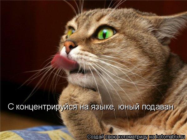 Котоматрица: С концентрируйся на языке, юный подаван
