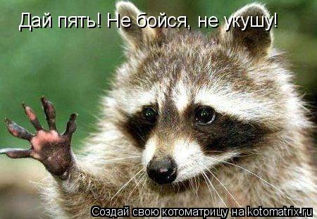 Дай пять! Не бойся, не укушу!... Котоматрица: Дай пять! Не бойся, не укушу!
