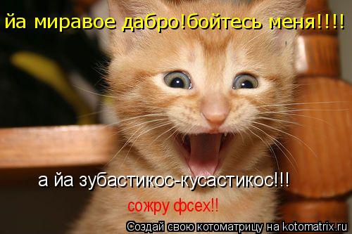 а йа зубастикос-кусастикос!!! йа миравое дабро!бойтесь меня!!!! сожру фсех!!... Котоматрица: а йа зубастикос-кусастикос!!! йа миравое дабро!бойтесь меня!!!! сожру фсех!!