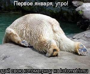 Котоматрица: Первое января, утро!