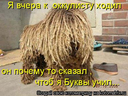 Я вчера к оккулисту ходил он почему то сказал , чтоб я Буквы учил...... Котоматрица: Я вчера к оккулисту ходил он почему то сказал , чтоб я Буквы учил...
