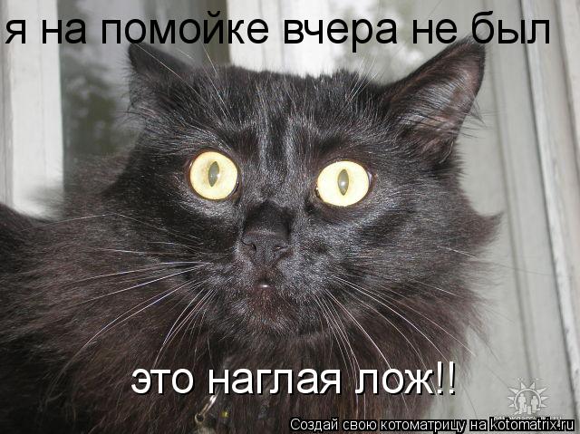 я на помойке вчера не был это наглая лож!!... Котоматрица: я на помойке вчера не был это наглая лож!!