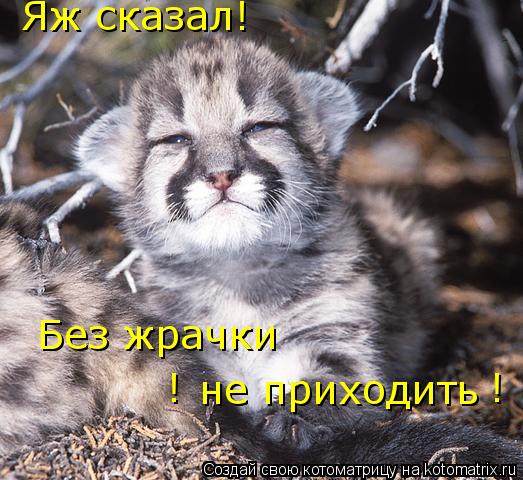 Яж сказал! Без жрачки не приходить ! !... Котоматрица: Яж сказал! Без жрачки не приходить ! !