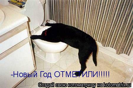 -Новый Год ОТМЕТИЛИ!!!!!... Котоматрица: -Новый Год ОТМЕТИЛИ!!!!!
