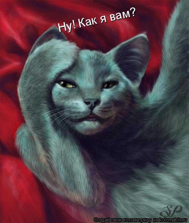 Ну! Как я вам?... Котоматрица: Ну! Как я вам?