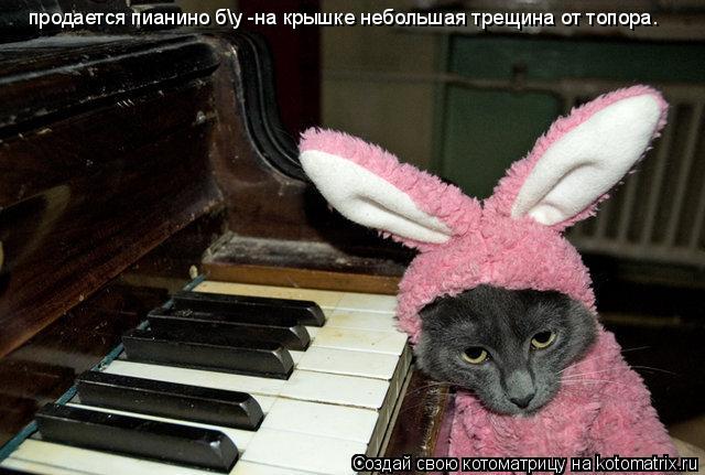 продается пианино бу -на крышке небольшая трещина от топора.... Котоматрица: продается пианино бу -на крышке небольшая трещина от топора.