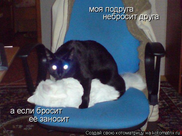 Котоматрица: моя подруга  небросит друга а если бросит  её заносит