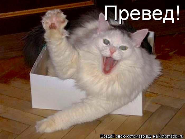 Превед!... Котоматрица: Превед!