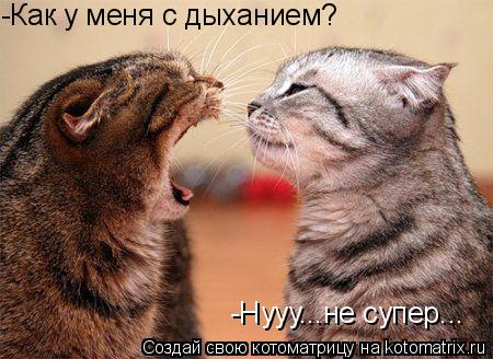 -Как у меня с дыханием? -Нууу...не супер...... Котоматрица: -Как у меня с дыханием? -Нууу...не супер...