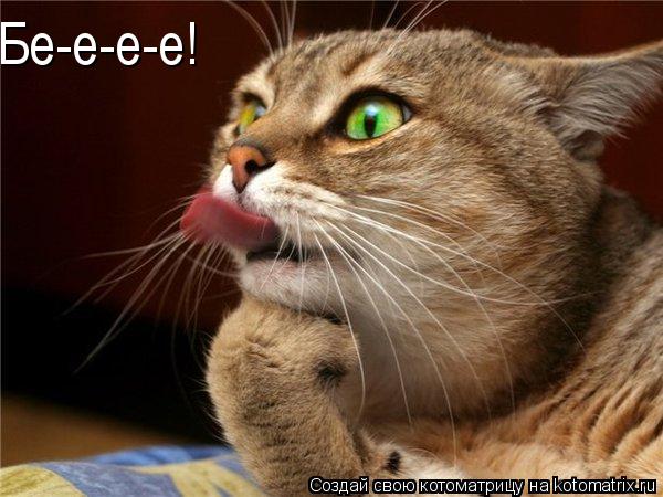 Бе-е-е-е!... Котоматрица: Бе-е-е-е!