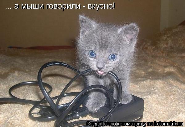 Котоматрица: ....а мыши говорили - вкусно!